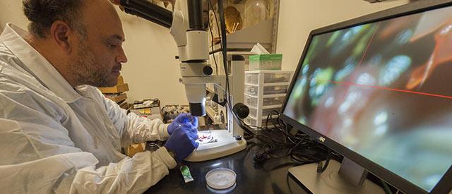 a man in a lab coat using a microscope.